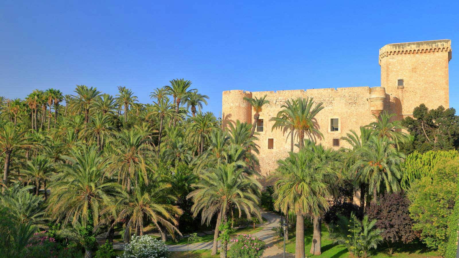 Basilica of Santa Maria and El Palmeral